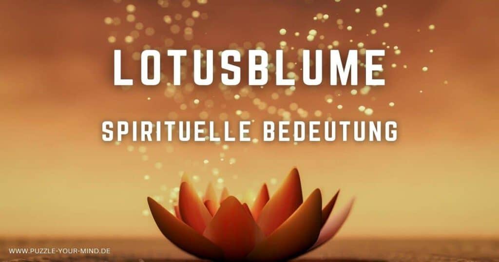 Lotusblume Bedeutung
