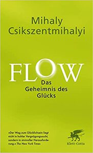 Flow erleben von Mihaly Csikszentmihalyi - Buchempfehlung Persönlichkeitsentwicklung