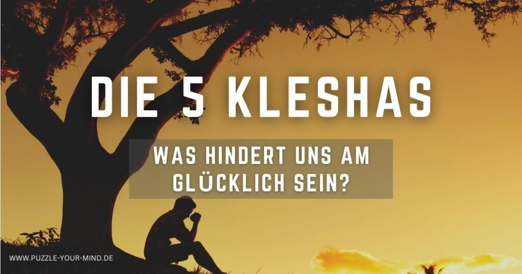 die 5 kleshas