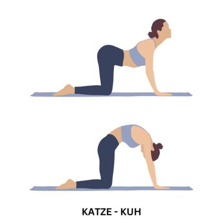yoga rückenschmerzen katze kuh
